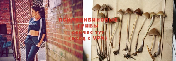 ПСИЛОЦИБИНОВЫЕ ГРИБЫ Нягань