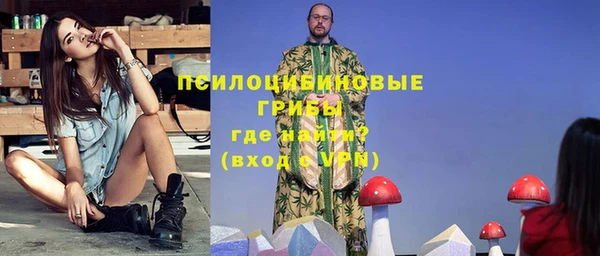 apvp Остров