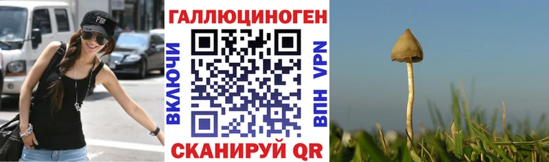 Галлюциногенные грибы Cubensis  Котлас 