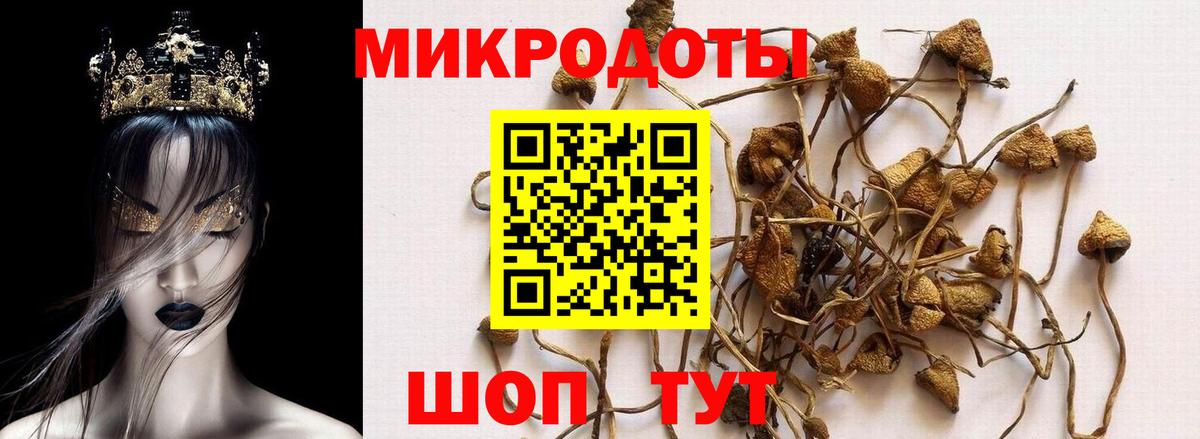 Галлюциногенные грибы Magic Shrooms  Вход с VPN  Псилоцибиновые грибы мухоморы  Котлас 