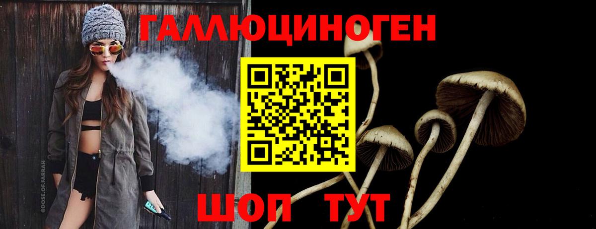 Псилоцибиновые грибы MAGIC MUSHROOMS Котлас